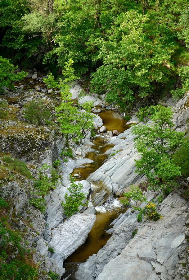 River Side Rooms Ελασσόνα Εξωτερικό φωτογραφία