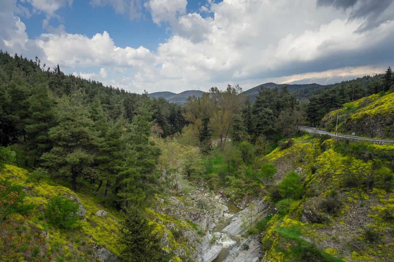 River Side Rooms Ελασσόνα Εξωτερικό φωτογραφία